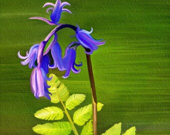 Blue Bells- mixed media art, fine art print, wall art, home decor, fine art photography, photo montage, altered art, digital collage, gift
