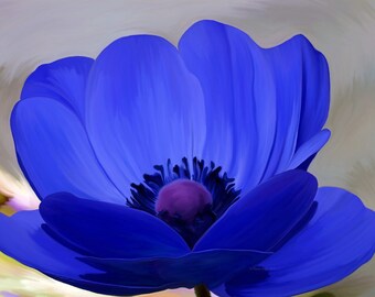 Windflower- mixed media- fine art print- fine art photography- altered art- photographic painting- flower art print- wall art- home decor