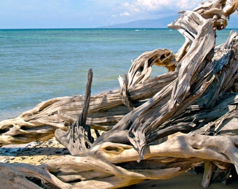 Driftwood II- fine art photography- fine art print- beach photography- seascape- Hawaii photography- scenic photograph- home decor- wall art