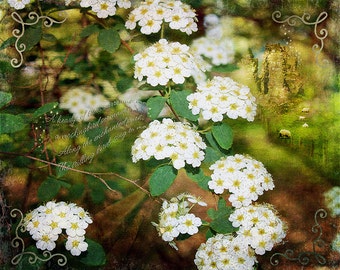 The Enchanted Path- fine art print- mixed media art- fine art photography- altered art- photo montage- collage- home decor- fantasy art