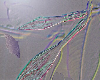 Emergence I- mixed media- fine art photography- photo montage- photo collage- altered art- abstract art- altered photo- wall art- home decor
