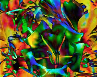 Kaleidoscope- fine art print- mixed media art- fine art photography- altered photography- abstract- wall art- home decor- office decor- gift