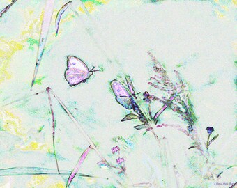 Two Butterflies- fine art print- mixed media, altered art, photo montage, collage, digital art, alternative art, wall art, home decor, gift
