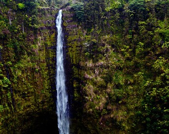 Akaka Falls- fine art photography- Hawaii photography- waterfall photography- nature photography- landscape- wall art- home decor- gift
