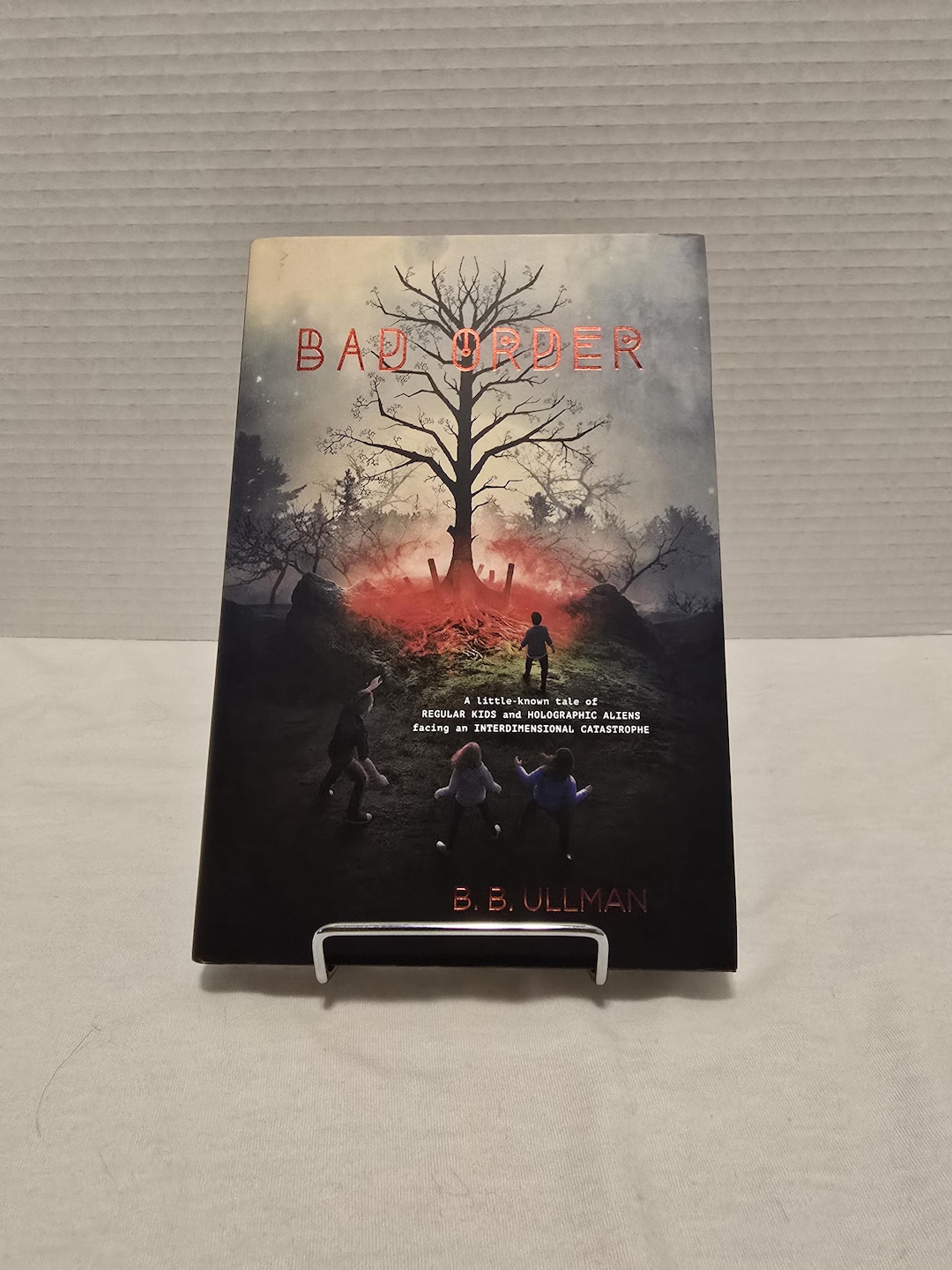 Bad Order Novel: Kids, Aliens, Interdimensional Catastrophe - Etsy