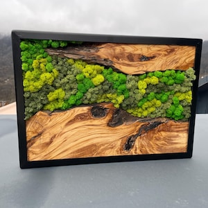 Olive Wood Moss Wall Art: Handcrafted Eco Decor