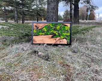 Moss Wall Art, Eco Art of Olive Wood and Preserved Moss, Handcrafted Olive Wood and Moss Wall Art, Made to Order Large Wall Art