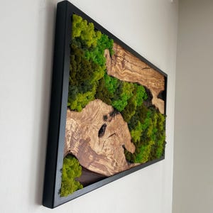 Preserved Moss Wall Art: Olive Wood Eco Decor