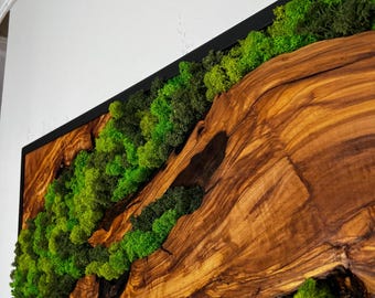 May include: A rectangular wall art piece featuring a natural wood grain design with a black frame. The wood is accented with vibrant green moss, creating a textured, organic aesthetic. The artwork is mounted on a white wall.