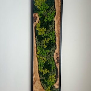 Olive Wood & Preserved Moss Wall Art: Eco Home Decor