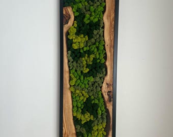 Moss Wall Art, Eco Art of Olive Wood and Preserved Moss, Handcrafted Olive Wood and Moss Wall Art, Made to Order Large Wall Art
