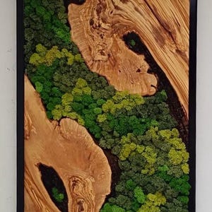 Olive Wood & Preserved Moss Wall Art: Eco-Friendly Decor