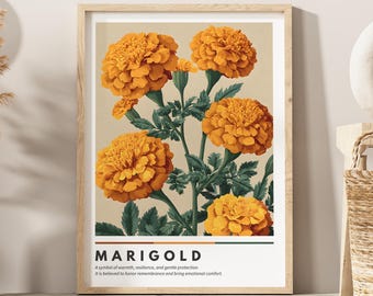 Marigold flower wall art | botanical flower poster | vintage marigold print | modern boho floral wall art | marigold lover gifts