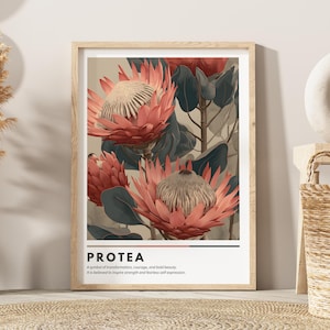 Op de afbeelding: Een ingelijste kunstdruk met een botanische illustratie van protea bloemen in roze en groen. De print bevat het woord "PROTEA" en een beschrijving hieronder. Het kunstwerk wordt tentoongesteld in een kamer met een neutrale inrichting.