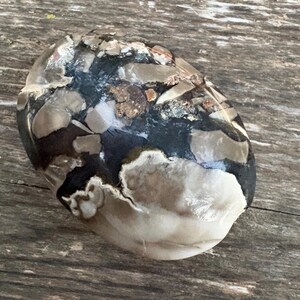 Puede incluir: Una piedra pulida de forma ovalada que presenta un patrón complejo y moteado de colores negro, gris oscuro, crema y blanco. La superficie tiene un acabado liso y brillante con inclusiones minerales visibles y parches irregulares de tonos tierra.