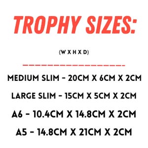 Personalised Corporate Trophy – Custom Employee Award with full-colour UV printing. Perfect for recognition awards, business achievements, sales milestones & years of service gifts. High-quality acrylic trophy with fast processing & shipping!