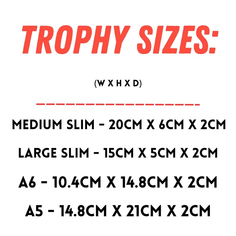 Personalised Corporate Trophy – Custom Employee Award with full-colour UV printing. Perfect for recognition awards, business achievements, sales milestones & years of service gifts. High-quality acrylic trophy with fast processing & shipping!