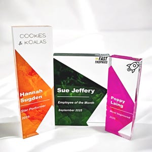 Personalised Acrylic Office Award: Custom Employee Recognition Trophy, Funny Company Colleague Award