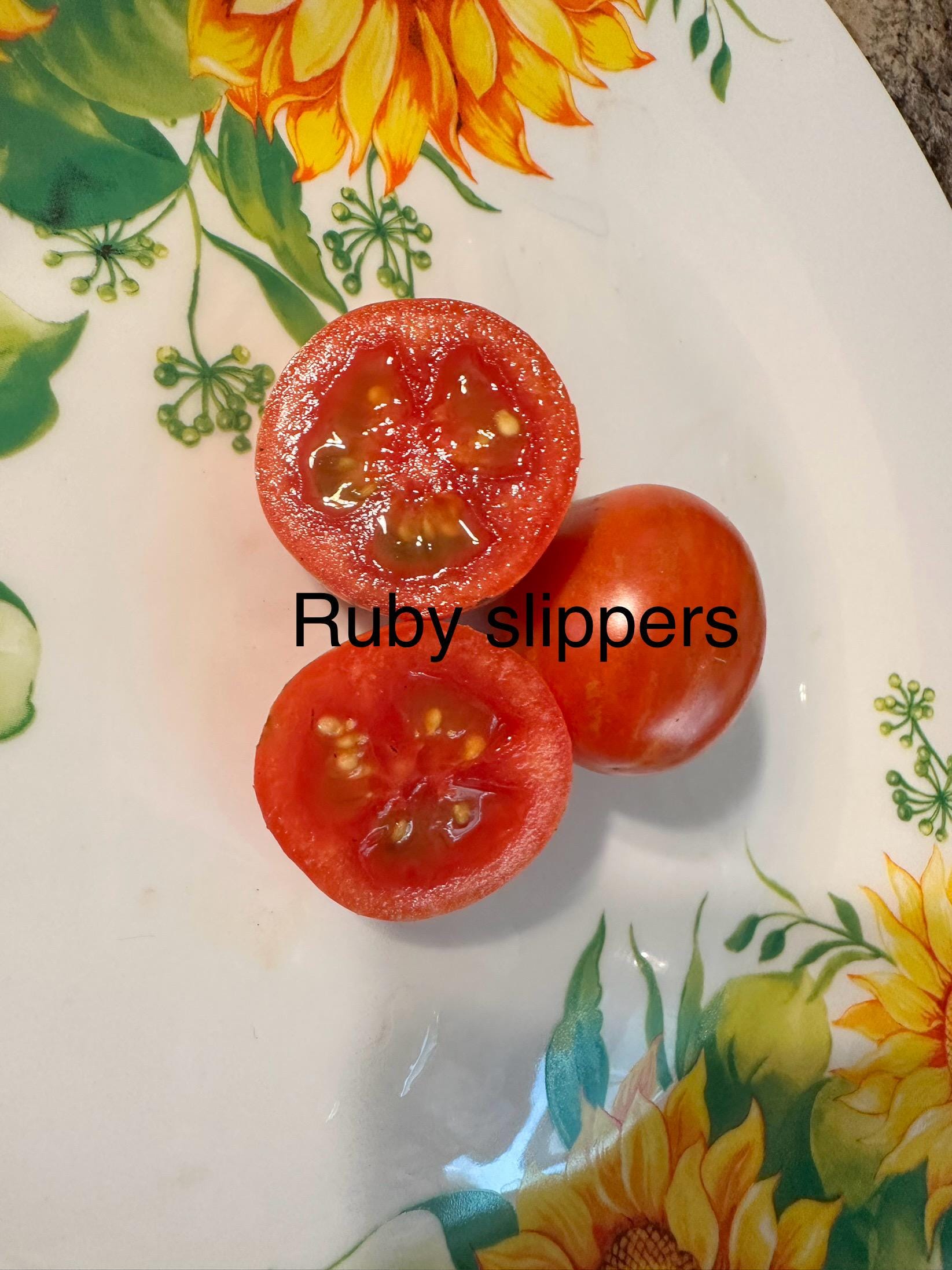 Drawf Rube Dwarf Ruby Slippers - Etsy