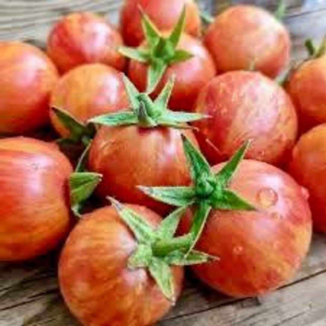 Dwarf Raspberry Beret Tomato - Etsy