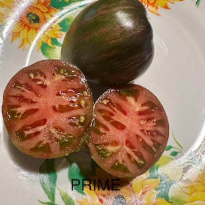 Rebel Starfighter Prime Tomato