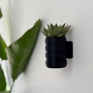 May include: A black wall-mounted planter with a succulent plant. The planter has a ribbed design and a small black bracket on the back.