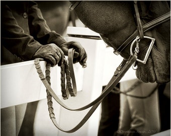 Horse, Equestrian competition, horse riding, BW Art Photography, horsewoman, horse competition, rural life, farm life, county fair