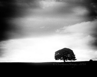 Lone Tree, art photo, dark and mysterious, horizons, stormy, black and white, big sky, dramatic image, office or home decor, nature, Ireland