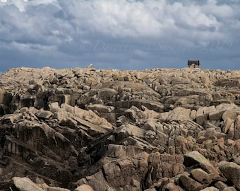 artist studio, nature landscape, rock formations, recluse, art photography, man versus nature, larger than life, Right On Strange photos