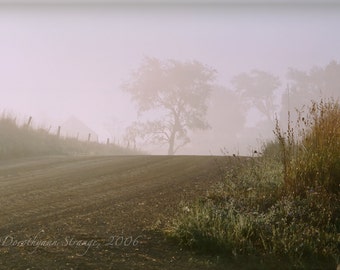 foggy country morning, 5x7 art photo, sepia toned, quiet mood, rural road, country road, tree