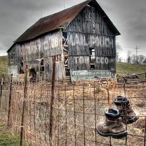 barn, Mail Pouch chewing tobacco, Photography, rural landscape, farm, rustic, signs, ads,other sizes available image 1