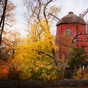 May include: A red wooden windmill with a brown roof stands in a field of yellow and orange autumn leaves. The windmill has a white blade and a ladder on the side.