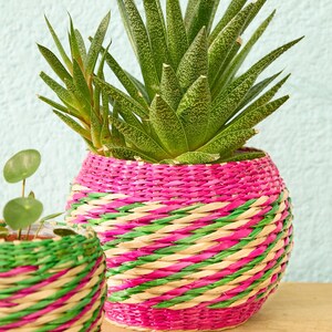 May include: Two woven plant pots are shown, one larger and one smaller. The larger pot is pink, green, and beige, containing a green succulent. The smaller pot is green and pink, holding a small plant. The pots are on a wooden surface.