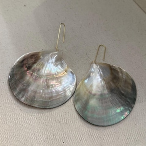 May include: A pair of iridescent shell earrings. The earrings feature large, fan-shaped shells with a pearlescent sheen, displaying a range of colors including silver, gray, and hints of green and pink. Each shell is suspended from a gold-colored ear wire.