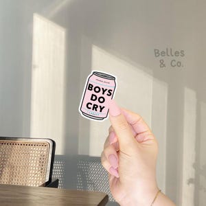Boys Do Cry Vinyl Sticker | Cellphone Sticker | Gender Equity | Can of Beer Sticker | Pink Blue Writing | Sticker