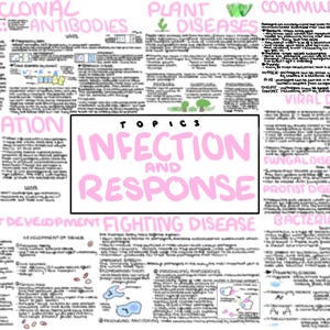 Notas de revisión/mapa mental del tema 3 de Biología AQA GCSE: Infección y respuesta Notas de GRADO 9