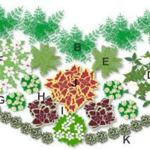 Flowering Shade Garden