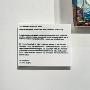 Insegna per galleria d'arte, cartello artistico, tessera museale, etichetta per opera d'arte in acrilico, cartello descrittivo dell'opera d'arte, insegna artistica, scheda informativa dell'artista, mini targa artistica