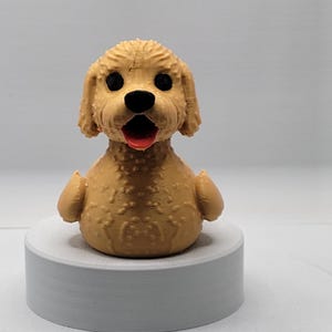 Golden Labradoodle Duck