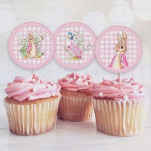 Flopsy Bunny Cupcake Topper template, Baby Cake topper, Watercolor Peter Rabbit, Birthday Party Decoration, Girl Pink Sticker, Printable Tag