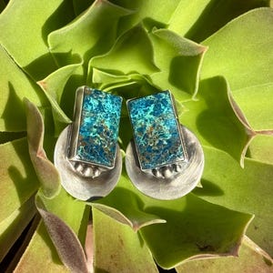 Peut inclure: Boucles d'oreilles en argent avec des incrustations rectangulaires en pierre turquoise et marron. Les boucles d'oreilles sont montées sur une base en argent avec un design circulaire et de petites perles d'argent. Sur un fond de feuilles de succulentes vertes.