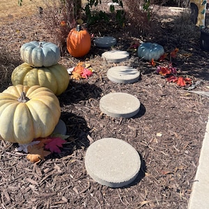 May include: A stack of three pumpkins in shades of light blue, pale yellow, and muted orange, alongside a bright orange pumpkin and a small blue pumpkin. A path of five circular concrete stepping stones leads through dark brown mulch.