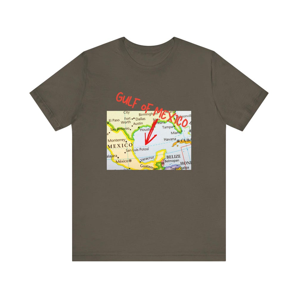 Gulf Of Mexico Shirt, Political T Shirt, Resistance T Shirt, Protest T Shirt, Anti-Trump Shirt, Liberal Shirt, Activist Shirt, Leftist Shirt Realtorgift