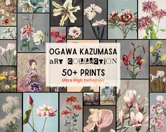 50+ Ogawa Kazumasa Floral Photography, Ultra High-Def 10K+ Japanese Botanical Images