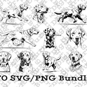 Labrador Retriever Hund SVG PNG Bundle, 70 hochwertige Haustierbilder, Sublimation digitaler Download, bereit für die Lasergravur von Vektorgraphiken