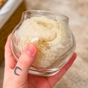 Piel mudada de pitón bola: artesanía de resina natural, joyería y materiales de arte gótico