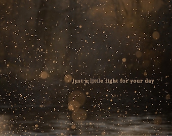 Wildlife Photography Post Card