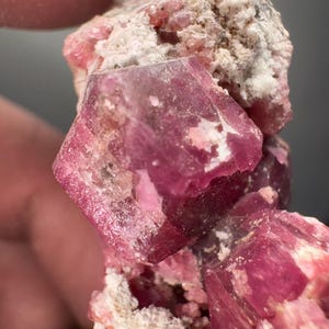 Pode incluir: Close-up de um espécime mineral com um grupo de cristais rosa. Os cristais, de um rosa intenso, estão parcialmente incorporados numa matriz de rocha branca e bege. A textura é áspera e natural.