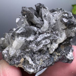 Puede incluir: Un grupo de cristales de cuarzo gris oscuro y transparente. Los cristales están agrupados, algunos parecen afilados y puntiagudos. La roca base es de color gris oscuro, con una textura rugosa. Un espécimen mineral natural.