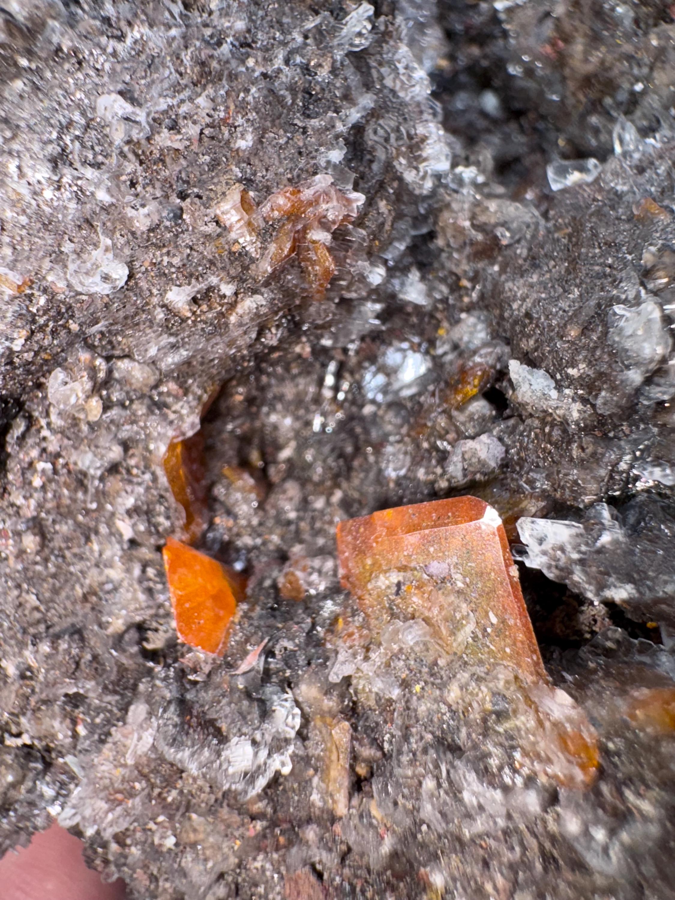 Wulfenite natural mineral crystal specimen Red Cloud Mine La Paz County Arizona USA